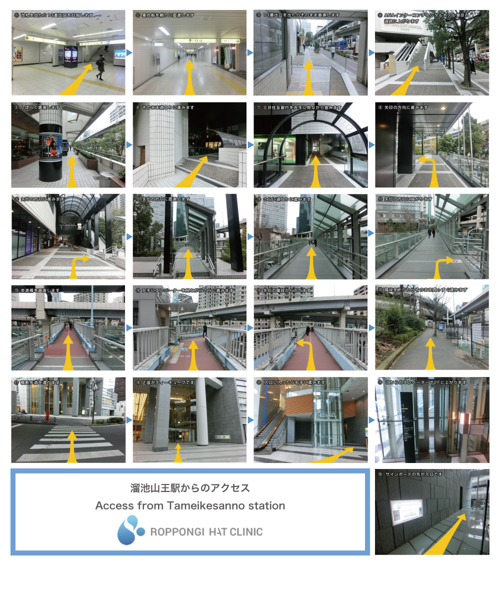 溜池山王駅からのアクセス (Access from Tameikesanno station) 